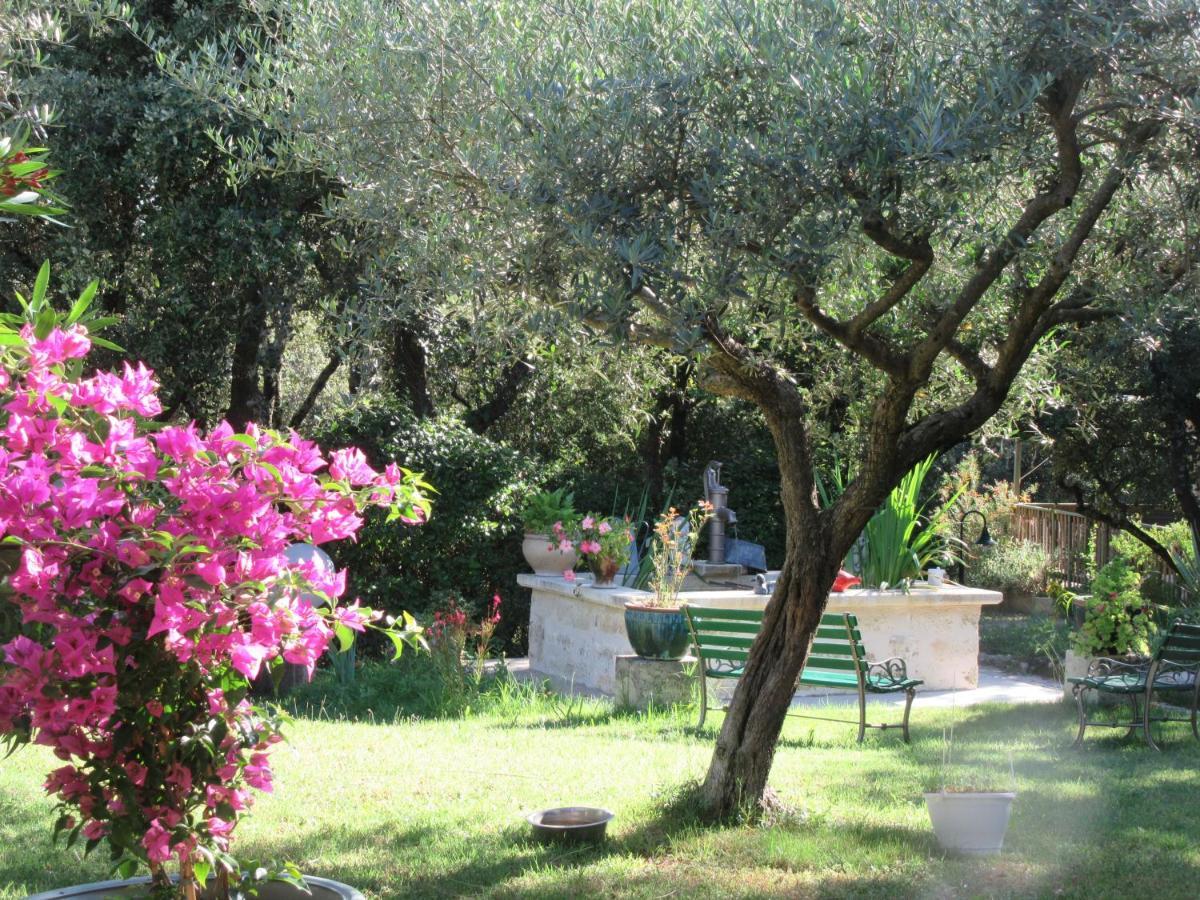 Domaine Du Bois Gite Bleuette Galargues Esterno foto