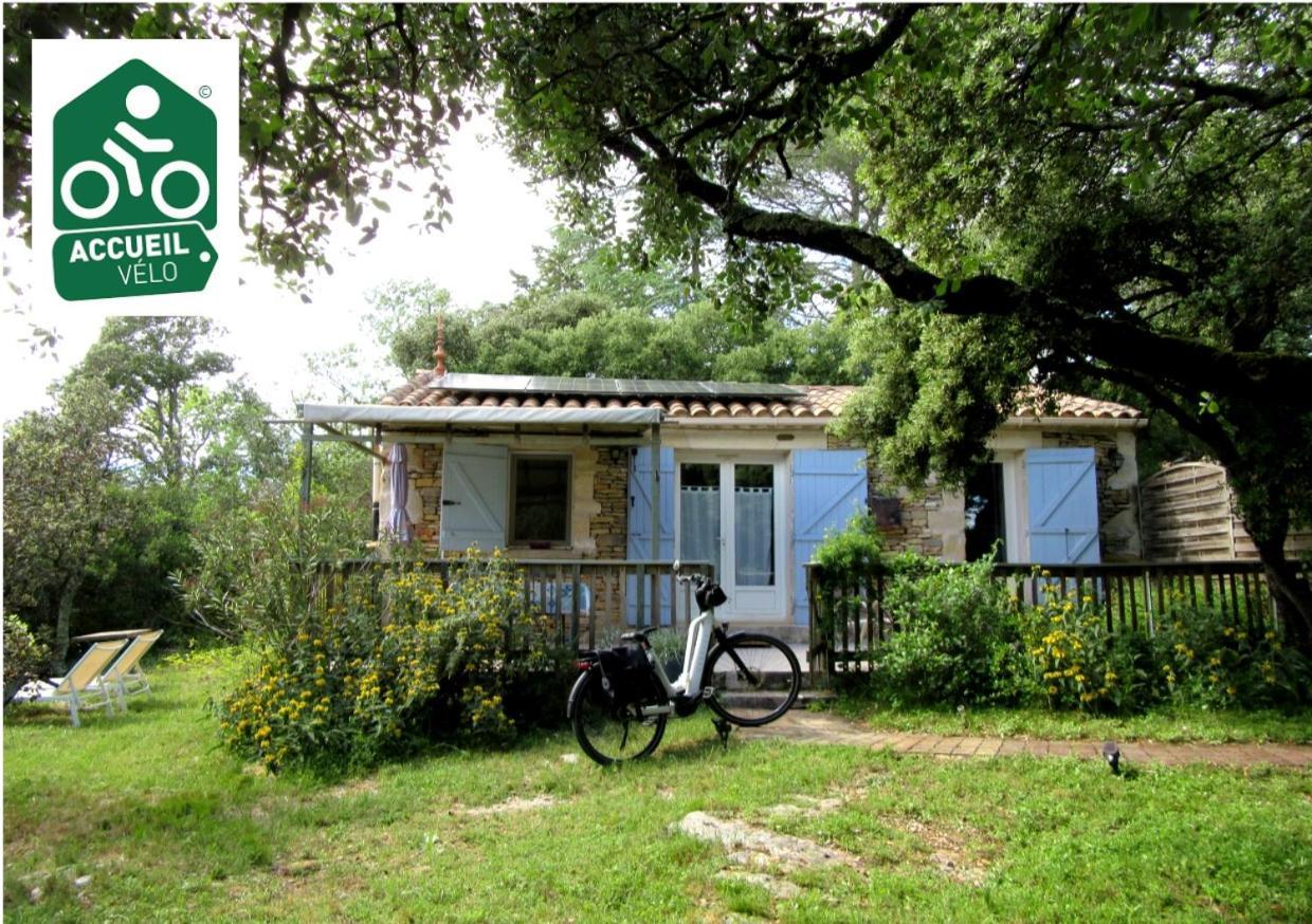 Domaine Du Bois Gite Bleuette Galargues Esterno foto