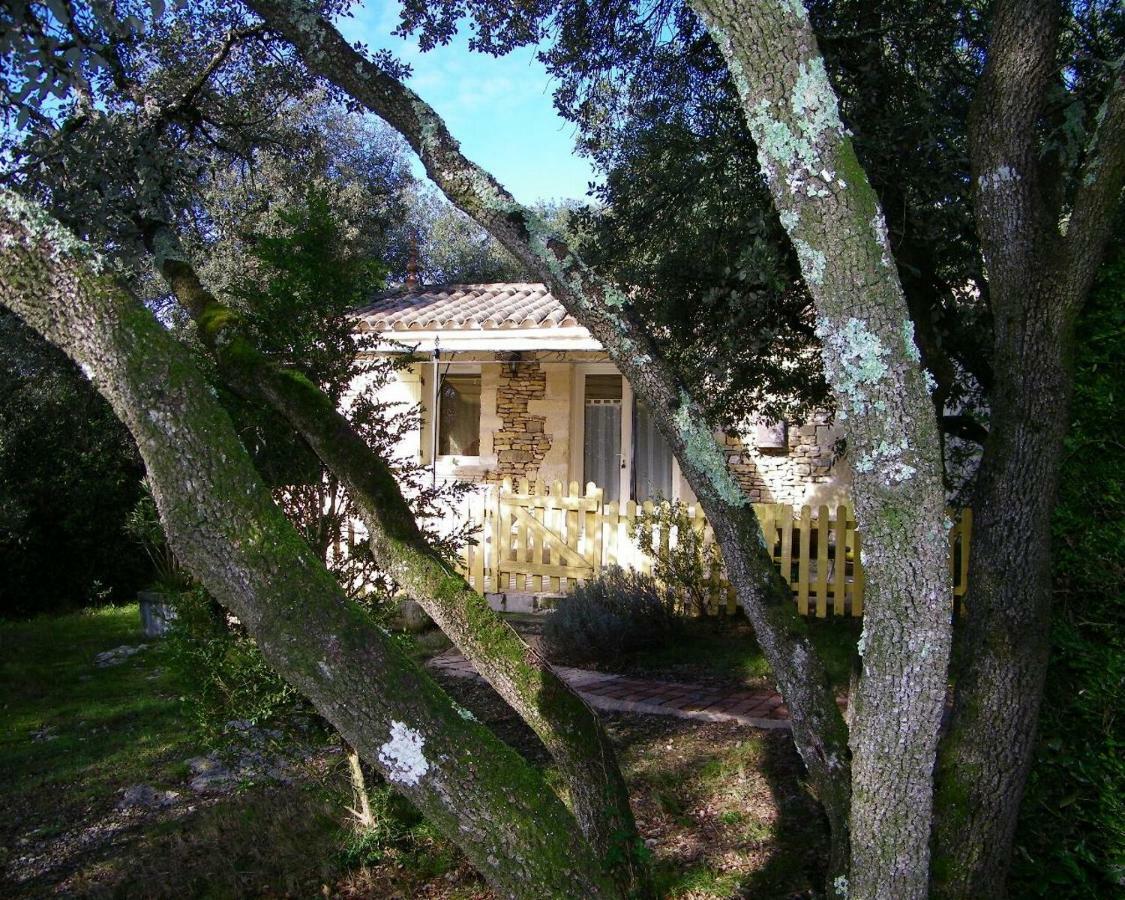 Domaine Du Bois Gite Bleuette Galargues Esterno foto