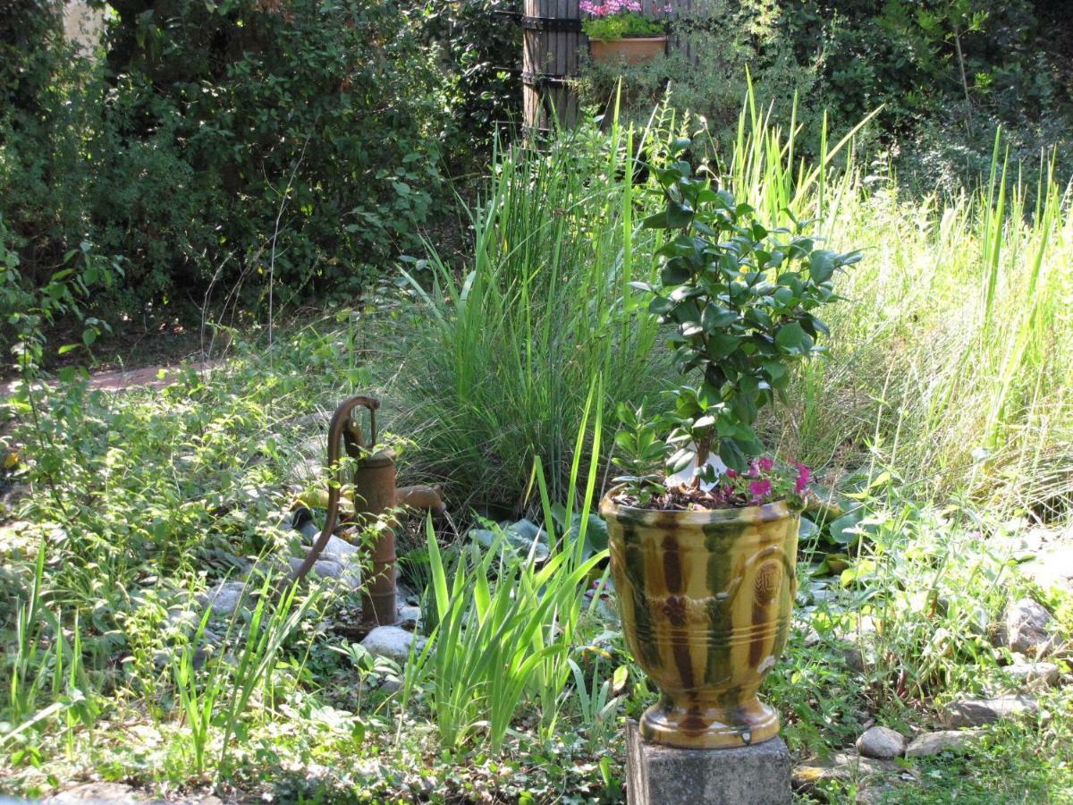 Domaine Du Bois Gite Bleuette Galargues Esterno foto