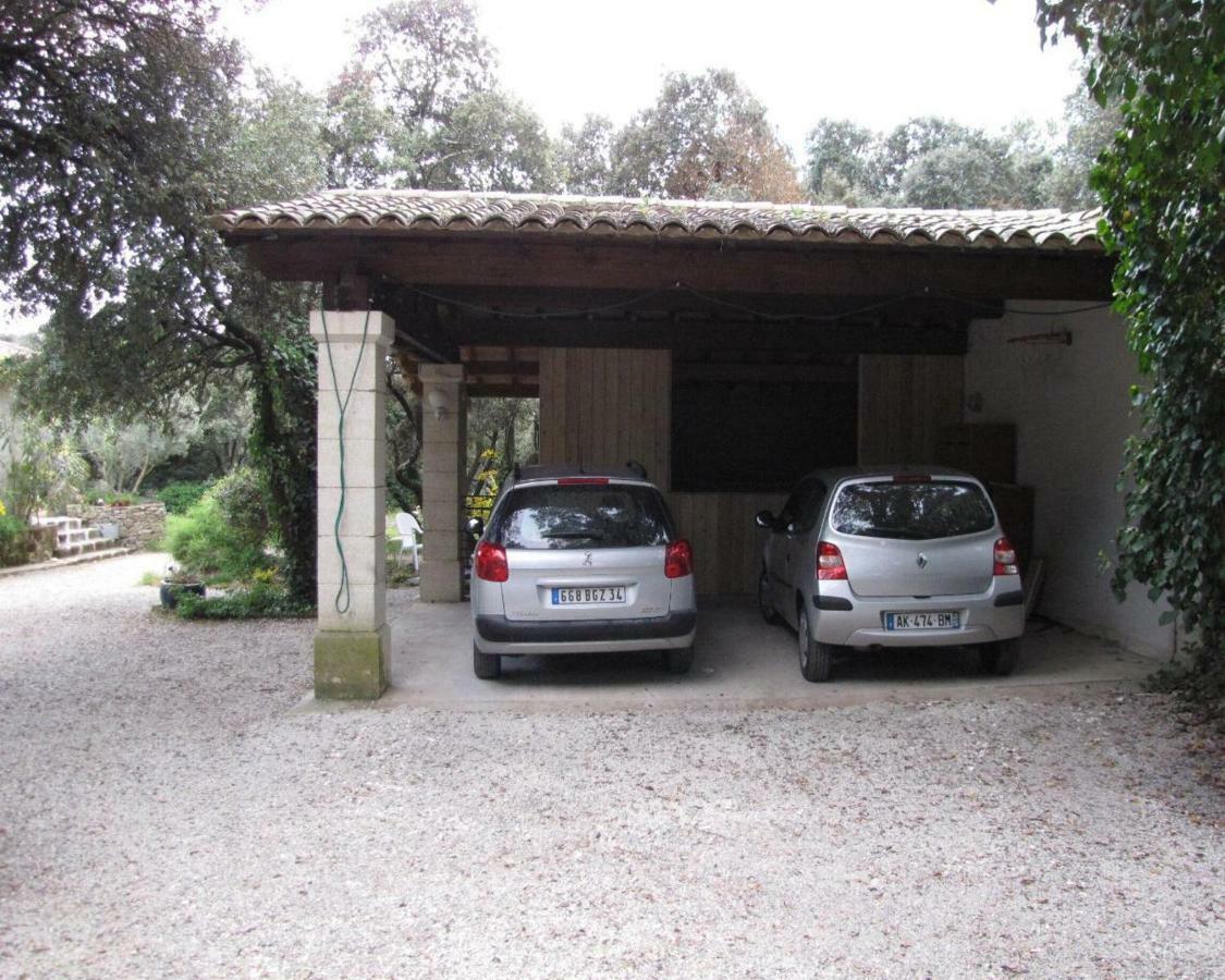 Domaine Du Bois Gite Bleuette Galargues Esterno foto